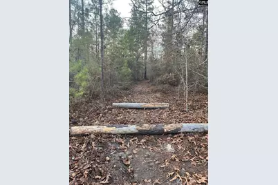 Goo 10A Wendell Lane Goo 10A, Wagener, SC 29164 - Photo 6