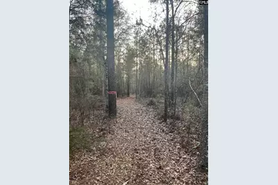 Goo 10A Wendell Lane Goo 10A, Wagener, SC 29164 - Photo 10