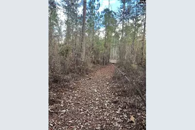 Goo 10A Wendell Lane Goo 10A, Wagener, SC 29164 - Photo 2