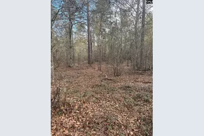 Goo 10B Wendell Lane Goo 10B, Wagener, SC 29164 - Photo 10