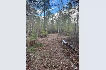 Goo 10B Wendell Lane Goo 10B, Wagener, SC 29164 - Photo 2