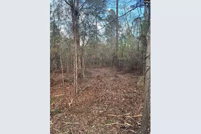 Goo 10B Wendell Lane Goo 10B, Wagener, SC 29164 - Photo 4