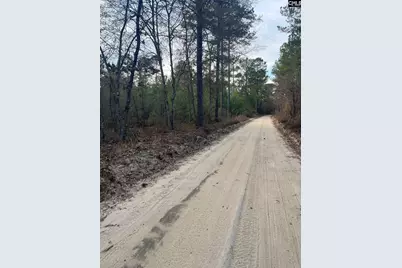 Goo 10B Wendell Lane Goo 10B, Wagener, SC 29164 - Photo 1
