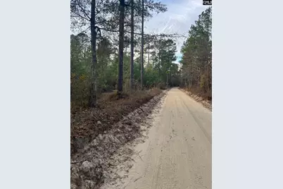 Goo 11A Wendell Lane Goo 11A, Wagener, SC 29164 - Photo 1