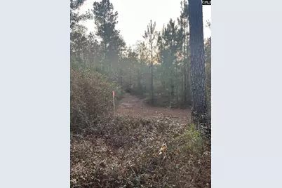 Goo 11A Wendell Lane Goo 11A, Wagener, SC 29164 - Photo 2
