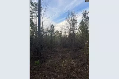 Goo 11B Wendell Lane Goo 11B, Wagener, SC 29164 - Photo 18