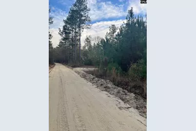 Goo 11B Wendell Lane Goo 11B, Wagener, SC 29164 - Photo 8