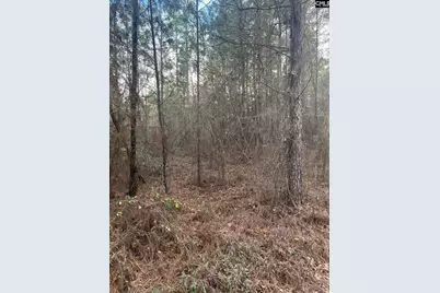 Goo 11B Wendell Lane Goo 11B, Wagener, SC 29164 - Photo 4