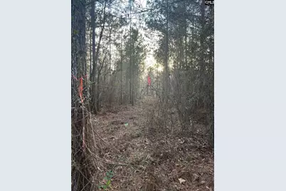 Goo 11B Wendell Lane Goo 11B, Wagener, SC 29164 - Photo 14