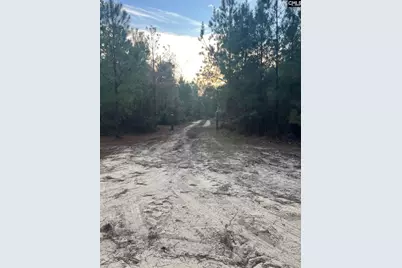 Goo 11B Wendell Lane Goo 11B, Wagener, SC 29164 - Photo 12