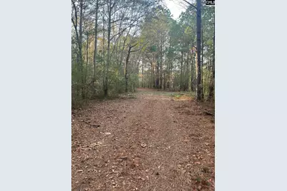 Dsh 4 Wagener Road Dsh 4, Wagener, SC 29164 - Photo 1