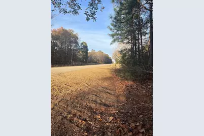 Dsh 4 Wagener Road Dsh 4, Wagener, SC 29164 - Photo 2