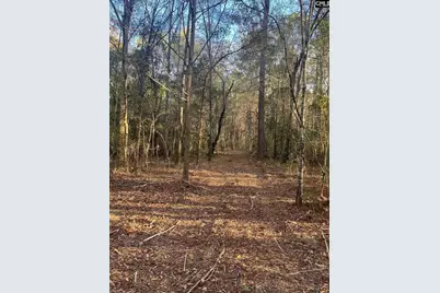 Dsh 4 Wagener Road Dsh 4, Wagener, SC 29164 - Photo 6
