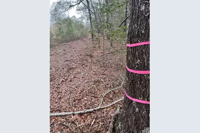 Whl 7 Rainbow Drive Whl 7, Salley, SC 29137 - Photo 8