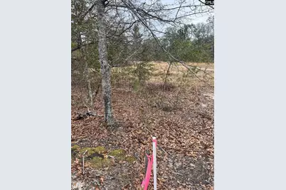 Whl 7 Rainbow Drive Whl 7, Salley, SC 29137 - Photo 16