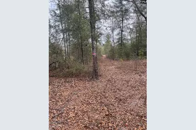 Whl 7 Rainbow Drive Whl 7, Salley, SC 29137 - Photo 4