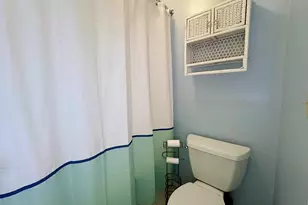 250 Dixieland Trail, Leesville, SC 29070 - Photo 20