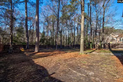 605 Timberleaf Court, Columbia, SC 29212 - Photo 24