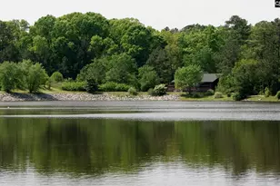 605 Timberleaf Ct, Columbia, SC 29212 - Photo 52