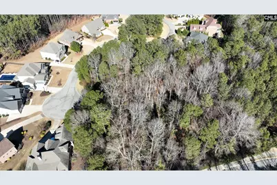 329 Brunner Circle, Blythewood, SC 29016 - Photo 20