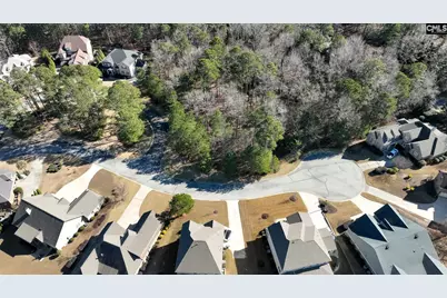 329 Brunner Circle, Blythewood, SC 29016 - Photo 12