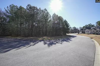 329 Brunner Circle, Blythewood, SC 29016 - Photo 2