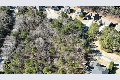 329 Brunner Circle, Blythewood, SC 29016 - Photo 14