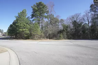 329 Brunner Circle, Blythewood, SC 29016 - Photo 24