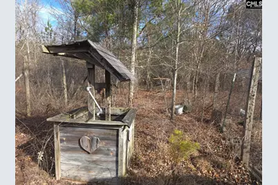 307 Tom Adams Road, Leesville, SC 29070 - Photo 30