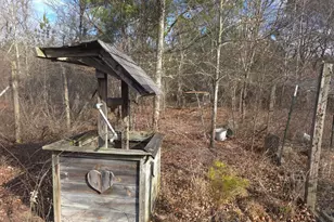 307 Tom Adams Rd, Leesville, SC 29070 - Photo 30