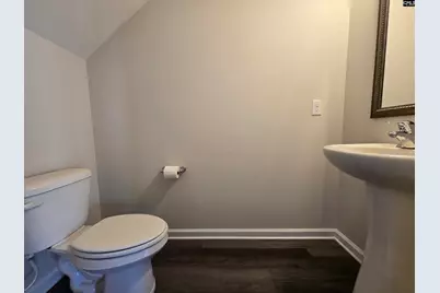 258 Honey Hill Way, Blythewood, SC 29016 - Photo 8