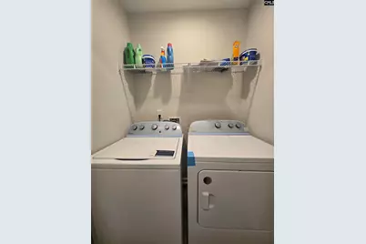 258 Honey Hill Way, Blythewood, SC 29016 - Photo 22