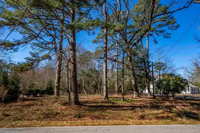 345 Old Chapin Road, Lexington, SC 29072 - Photo 16