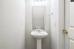 287 Indigo Springs Dr, Columbia, SC 29229 - Photo 18