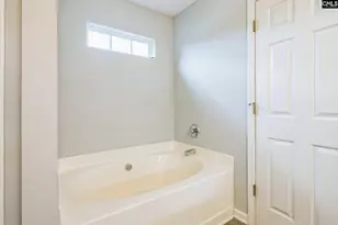 287 Indigo Springs Dr, Columbia, SC 29229 - Photo 16