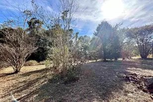 2201 Sharpes Hill Rd, Gaston, SC 29053 - Photo 6