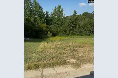 421 Bosque Circle, Blythewood, SC 29016 - Photo 2