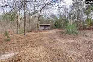 675 Crystal Springs Dr, Lexington, SC 29073 - Photo 26