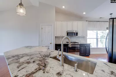 192 Palm Street, Chapin, SC 29036 - Photo 8