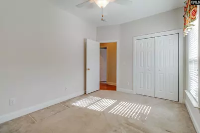 192 Palm Street, Chapin, SC 29036 - Photo 28