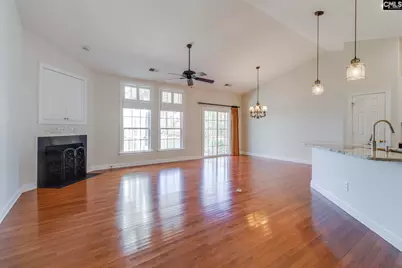 192 Palm Street, Chapin, SC 29036 - Photo 8
