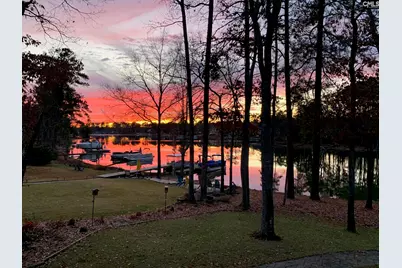 192 Palm Street, Chapin, SC 29036 - Photo 44