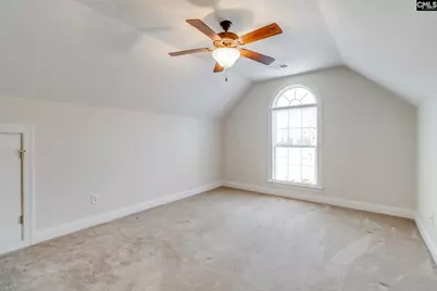 192 Palm Street, Chapin, SC 29036 - Photo 26