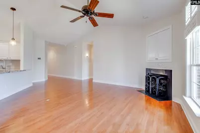 192 Palm Street, Chapin, SC 29036 - Photo 10