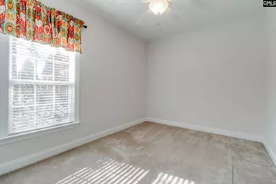 192 Palm Street, Chapin, SC 29036 - Photo 24
