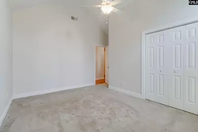 192 Palm Street, Chapin, SC 29036 - Photo 26