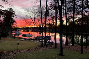 192 Palm St, Chapin, SC 29036 - Photo 46