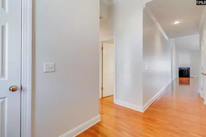 192 Palm Street, Chapin, SC 29036 - Photo 4