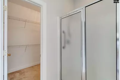 192 Palm Street, Chapin, SC 29036 - Photo 20