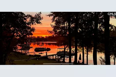 192 Palm Street, Chapin, SC 29036 - Photo 46